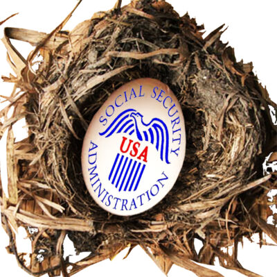 Social Security Admin egg in a nest